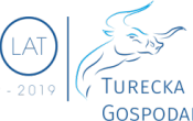 II_TIG_20-lat-logo_png-1-e1551947126721