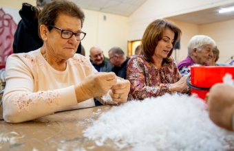 Pierzok na Bibiannie