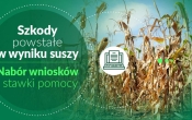 Zielona plansza z napisem i grafika