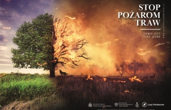 Mówimy NIE wypalaniu traw