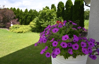 IV edycja konkursu na najładniejszą posesję zakończona
