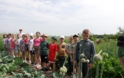 Program dla sz 4