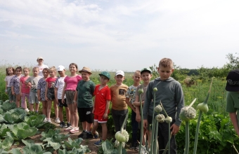 Program dla szkół – podsumowanie działań