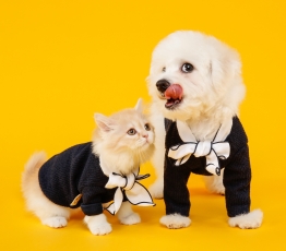 pies i kot w czarnych ubrankach z biala kokarda na zoltym tle - autor jellypet