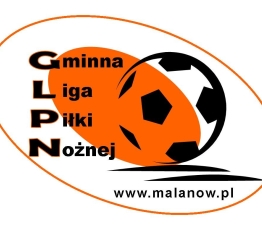 Logo GLPN - oryginal