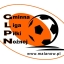 Logo GLPN - oryginal