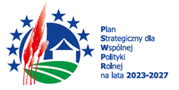 plan strategiczny button