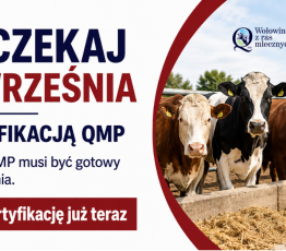 Baner QMP certyfikacja