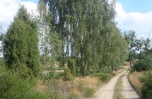 SAM_0646