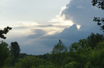 DSC04995