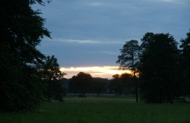 DSC05016