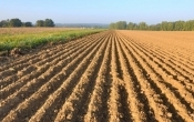 ziemia_rolna